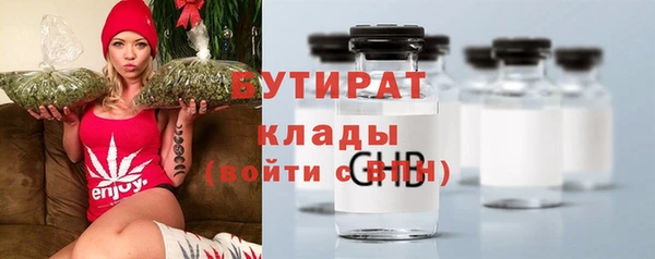 гидра Долгопрудный