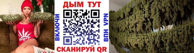 МАРИХУАНА SATIVA & INDICA  Купить закладки  Могоча 